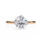 Sleek Shine – Round Diamond