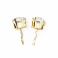 Round Diamond Drops Earrings