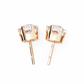 Round Diamond Drops Earrings